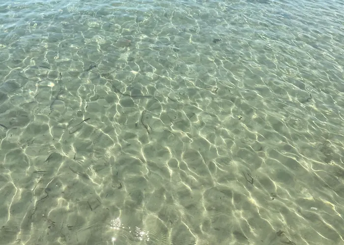 Seaside With Swimming Pool & Parking #2 *